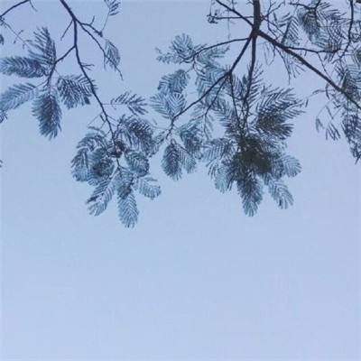 dd373手游交易平台官方下载